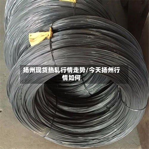 扬州现货热轧行情走势/今天扬州行情如何