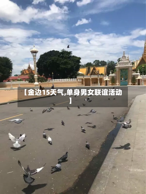 【金边15天气,单身男女联谊活动】
