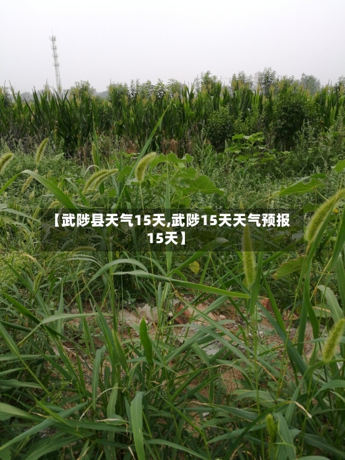 【武陟县天气15天,武陟15天天气预报15天】