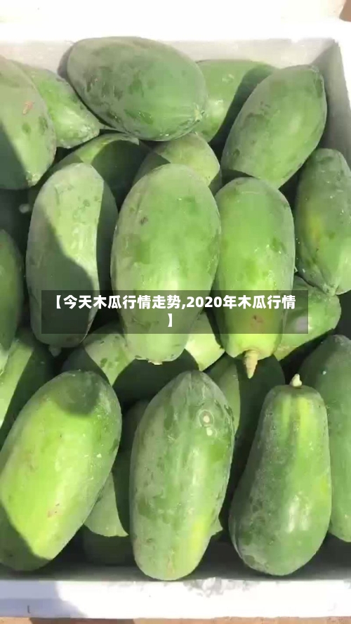 【今天木瓜行情走势,2020年木瓜行情】