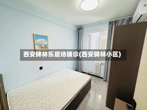 西安碑林乐居场确诊(西安碑林小区)
