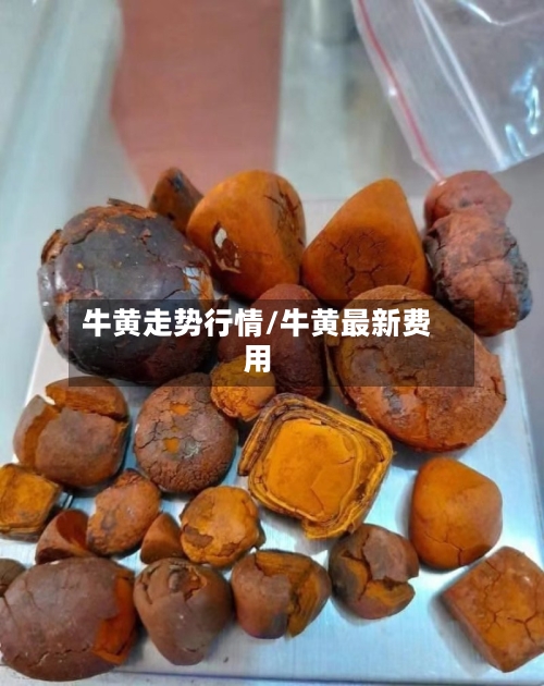 牛黄走势行情/牛黄最新费用