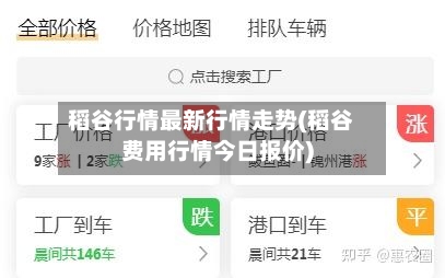 稻谷行情最新行情走势(稻谷费用行情今日报价)