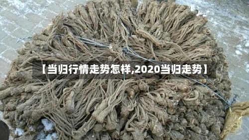 【当归行情走势怎样,2020当归走势】