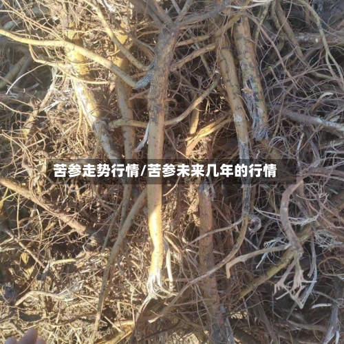 苦参走势行情/苦参未来几年的行情