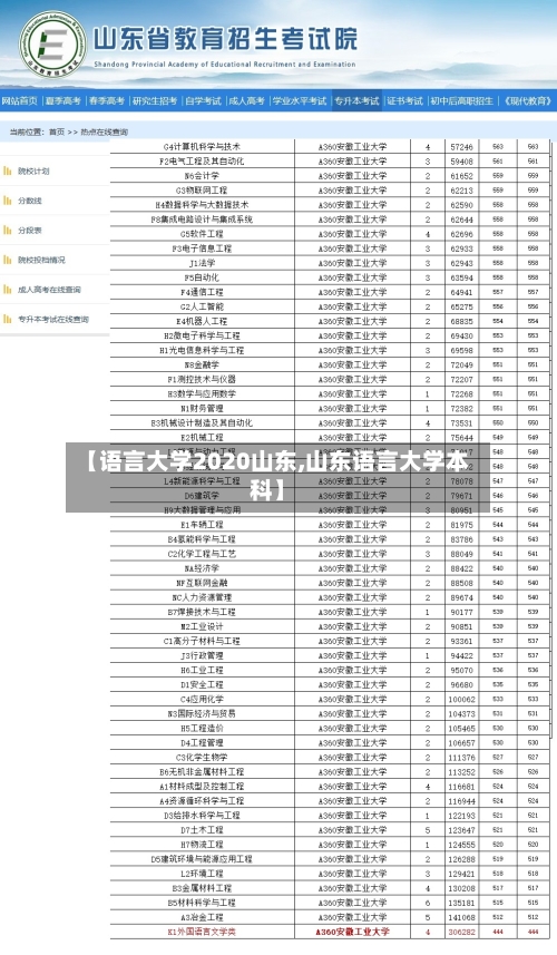 【语言大学2020山东,山东语言大学本科】