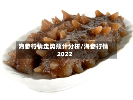 海参行情走势预计分析/海参行情2022