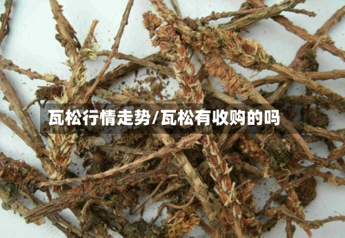 瓦松行情走势/瓦松有收购的吗
