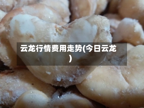 云龙行情费用走势(今日云龙)