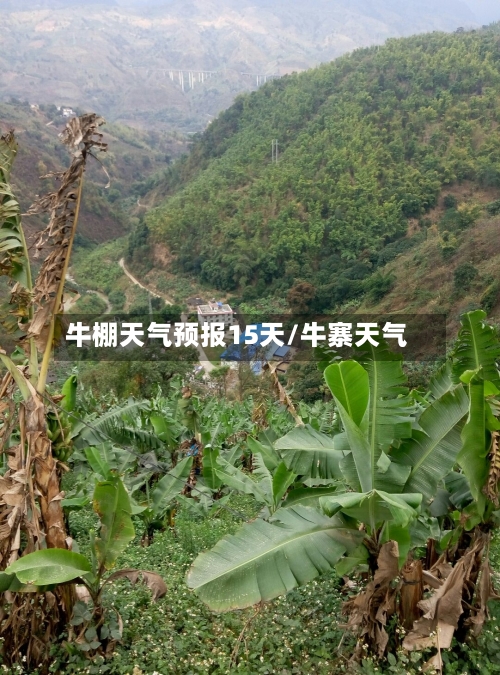 牛棚天气预报15天/牛寨天气