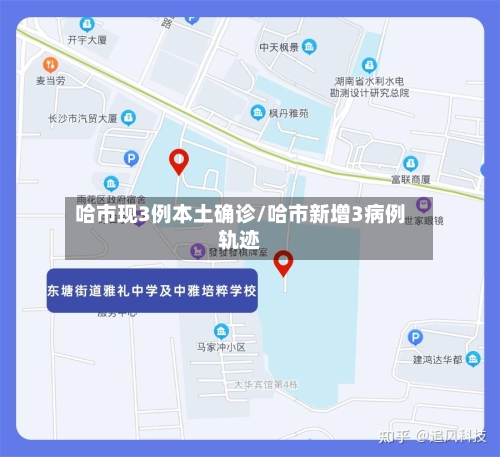 哈市现3例本土确诊/哈市新增3病例轨迹