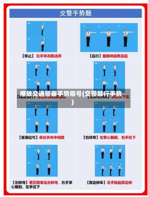 播放交通警察手势限号(交警禁行手势)