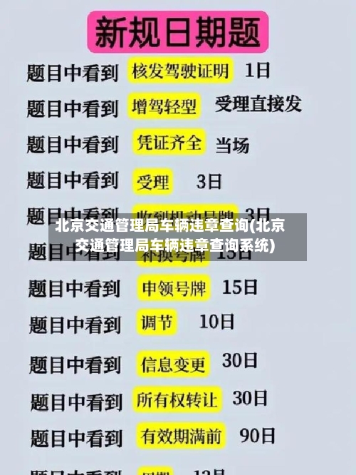 北京交通管理局车辆违章查询(北京交通管理局车辆违章查询系统)