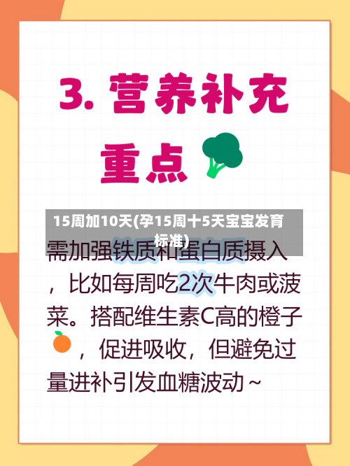 15周加10天(孕15周十5天宝宝发育标准)