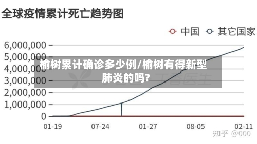 榆树累计确诊多少例/榆树有得新型肺炎的吗?