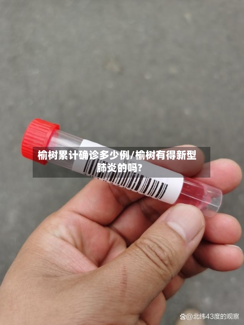 榆树累计确诊多少例/榆树有得新型肺炎的吗?
