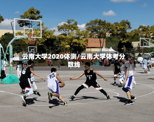云南大学2020体测/云南大学体考分数线