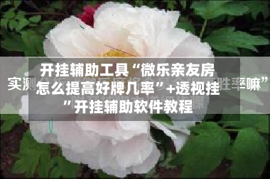 开挂辅助工具“微乐亲友房怎么提高好牌几率”+透视挂”开挂辅助软件教程