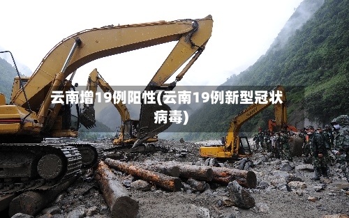 云南增19例阳性(云南19例新型冠状病毒)