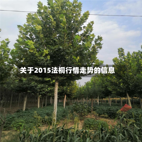 关于2015法桐行情走势的信息