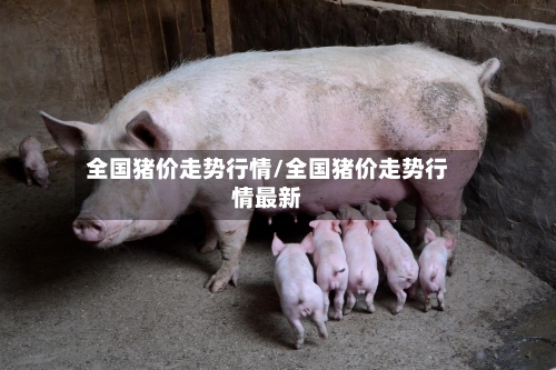 全国猪价走势行情/全国猪价走势行情最新