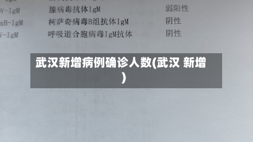 武汉新增病例确诊人数(武汉 新增)