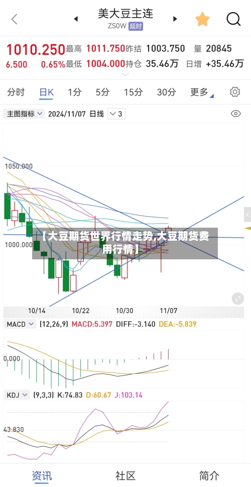 【大豆期货世界行情走势,大豆期货费用行情】