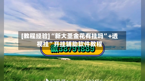 [教程经验]“新大圣金花有挂吗”+透视挂”开挂辅助软件教程