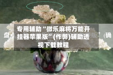 专用辅助“微乐麻将万能开挂器苹果版”(作弊)辅助透视下载教程
