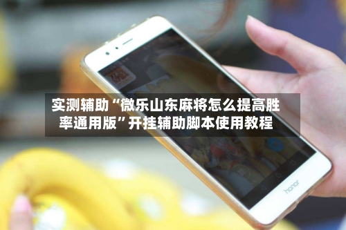 实测辅助“微乐山东麻将怎么提高胜率通用版”开挂辅助脚本使用教程