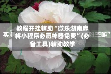 教程开挂辅助“微乐湖南麻将小程序必赢神器免费”(必备工具)辅助教学