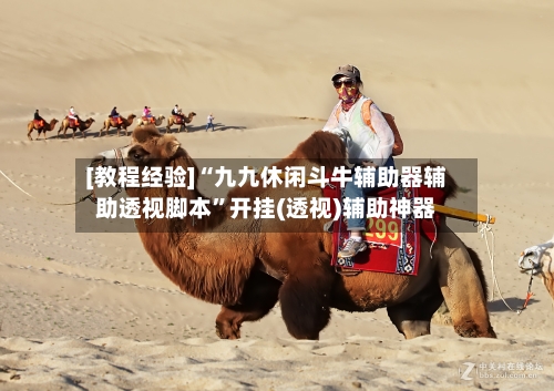 [教程经验]“九九休闲斗牛辅助器辅助透视脚本”开挂(透视)辅助神器