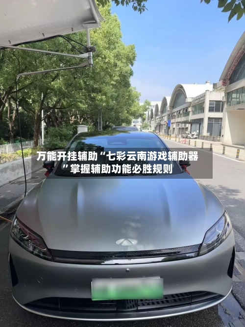 万能开挂辅助“七彩云南游戏辅助器”掌握辅助功能必胜规则
