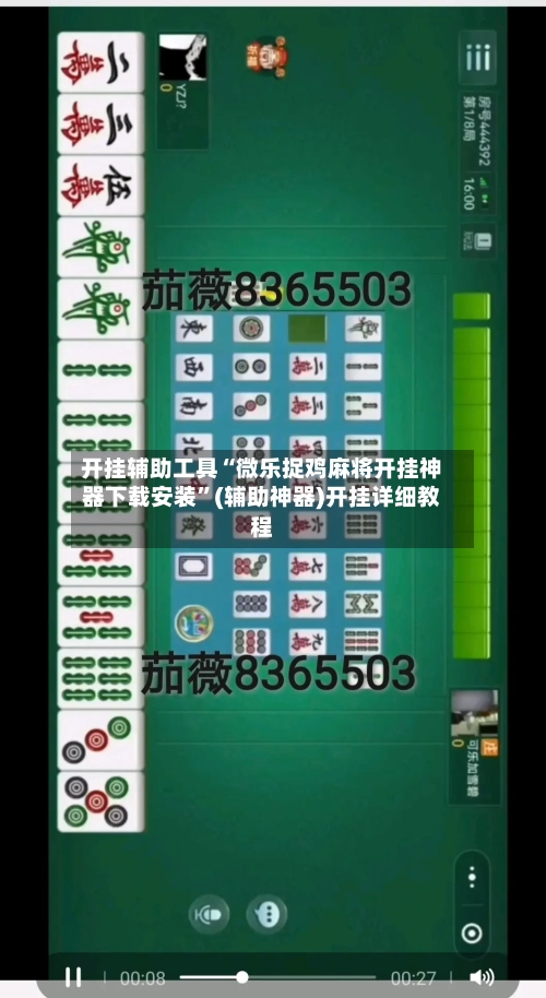 开挂辅助工具“微乐捉鸡麻将开挂神器下载安装”(辅助神器)开挂详细教程