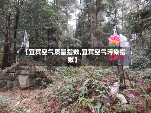 【宜宾空气质量指数,宜宾空气污染指数】