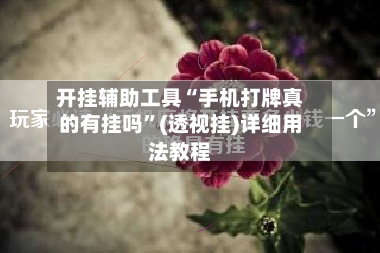 开挂辅助工具“手机打牌真的有挂吗”(透视挂)详细用法教程