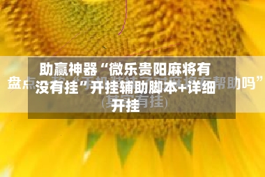 助赢神器“微乐贵阳麻将有没有挂”开挂辅助脚本+详细开挂
