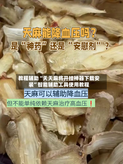教程辅助“天天麻将开挂神器下载安装”智能辅助工具使用教程