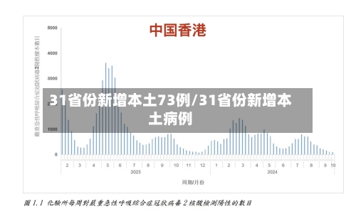 31省份新增本土73例/31省份新增本土病例