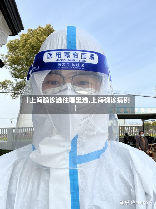 【上海确诊逃往哪里逃,上海确诊病例】