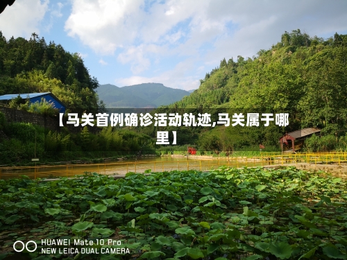 【马关首例确诊活动轨迹,马关属于哪里】
