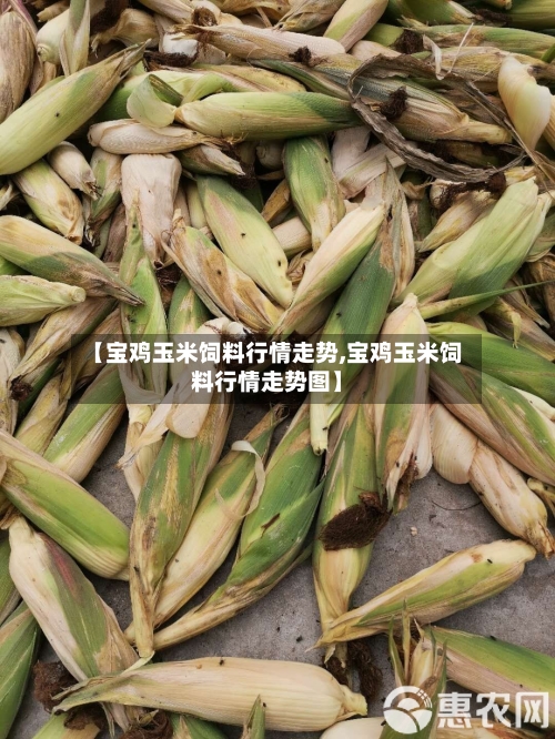 【宝鸡玉米饲料行情走势,宝鸡玉米饲料行情走势图】
