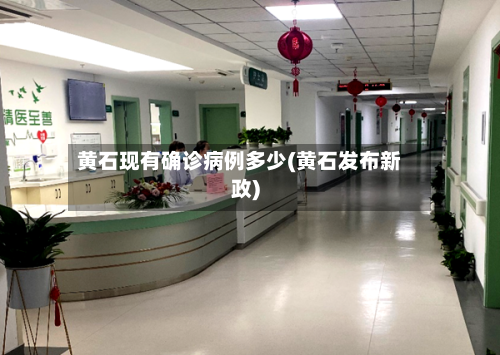 黄石现有确诊病例多少(黄石发布新政)