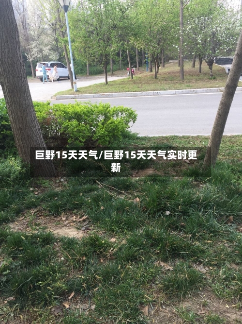巨野15天天气/巨野15天天气实时更新