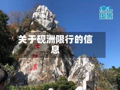 关于砚洲限行的信息