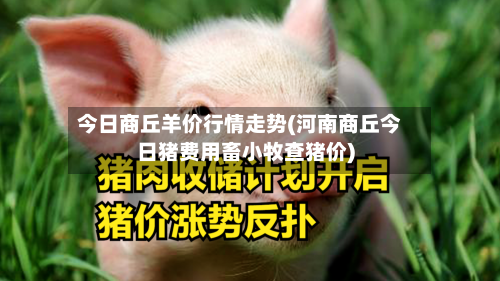 今日商丘羊价行情走势(河南商丘今日猪费用畜小牧查猪价)