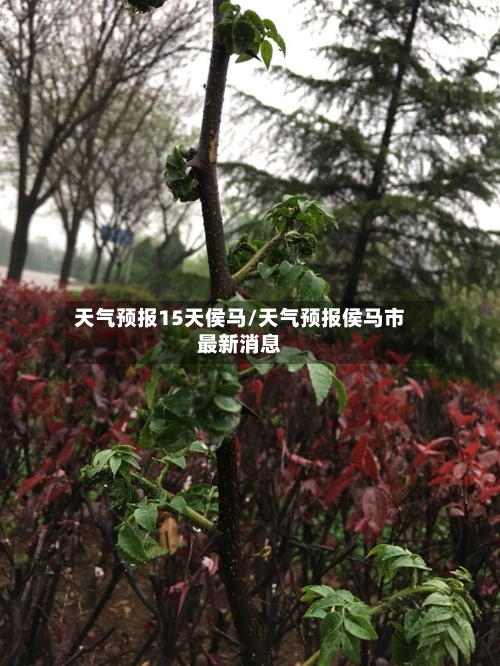 天气预报15天侯马/天气预报侯马市最新消息