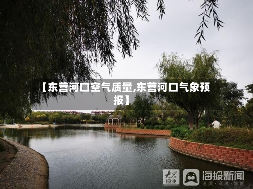 【东营河口空气质量,东营河口气象预报】