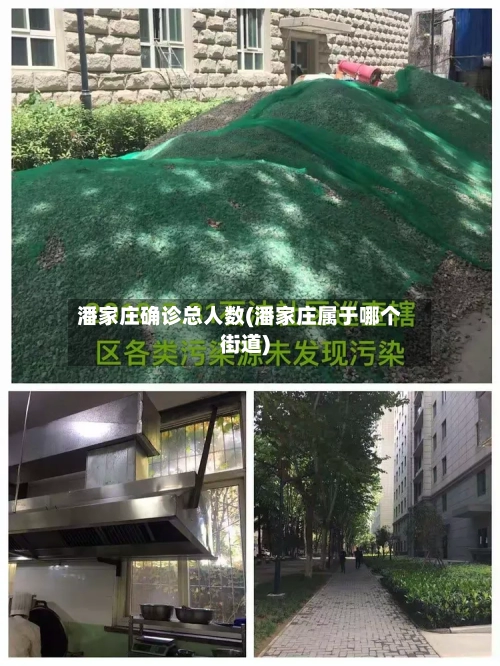 潘家庄确诊总人数(潘家庄属于哪个街道)