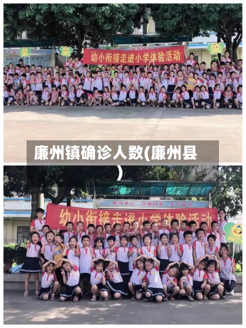 廉州镇确诊人数(廉州县)